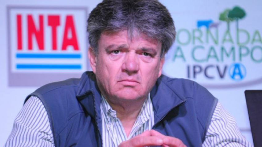 Carne Argentina: Con muy buenas perspectivas