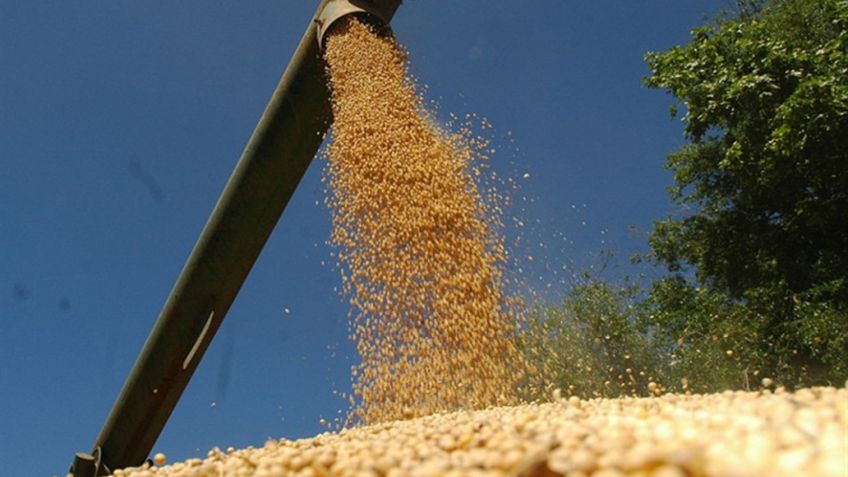 Ya se vendió más del 26% de la cosecha proyectada de soja argentina 2017/18