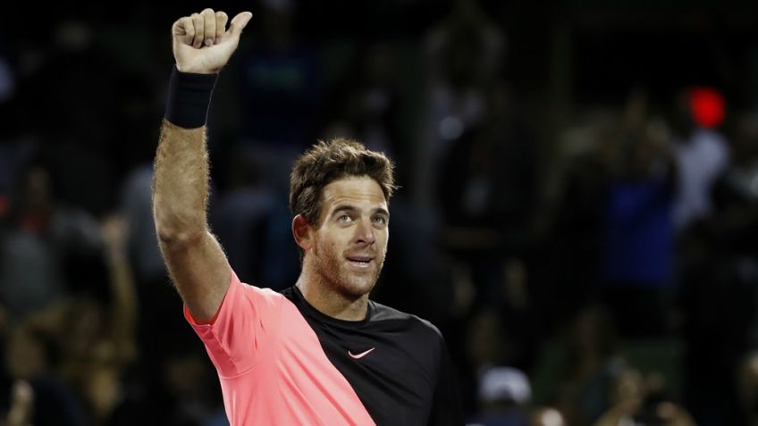 Del Potro sacó a Raonic y está en semifinales