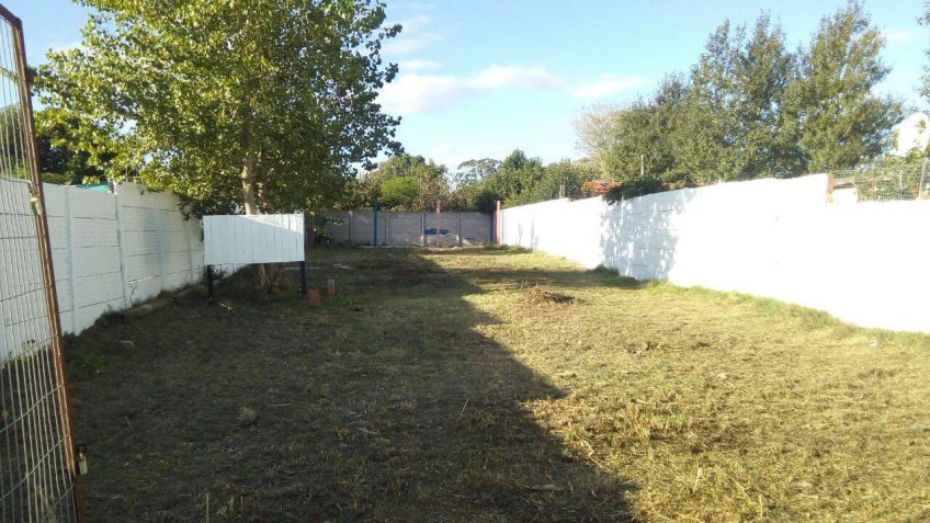 Realizaron trabajos de mantenimiento en el predio de la peña de San Lorenzo