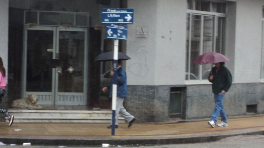 Esta tarde vi llover...