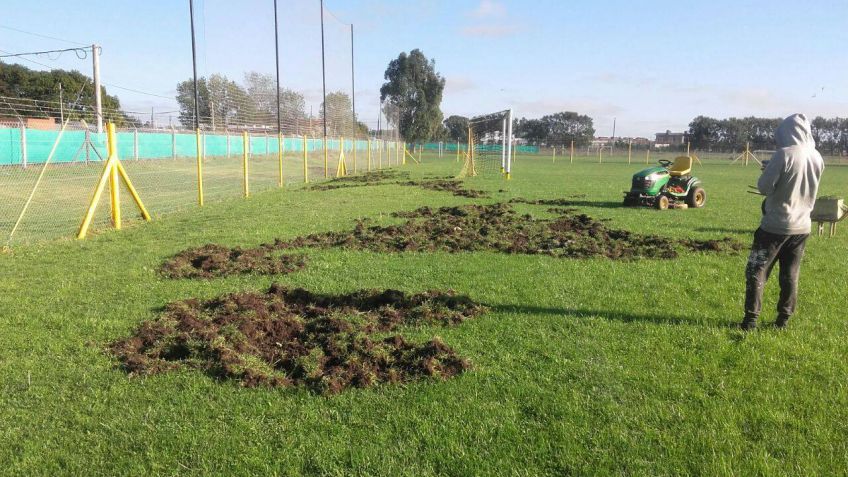 Destrozaron el campo de deportes de Santamarina en busca de lombrices