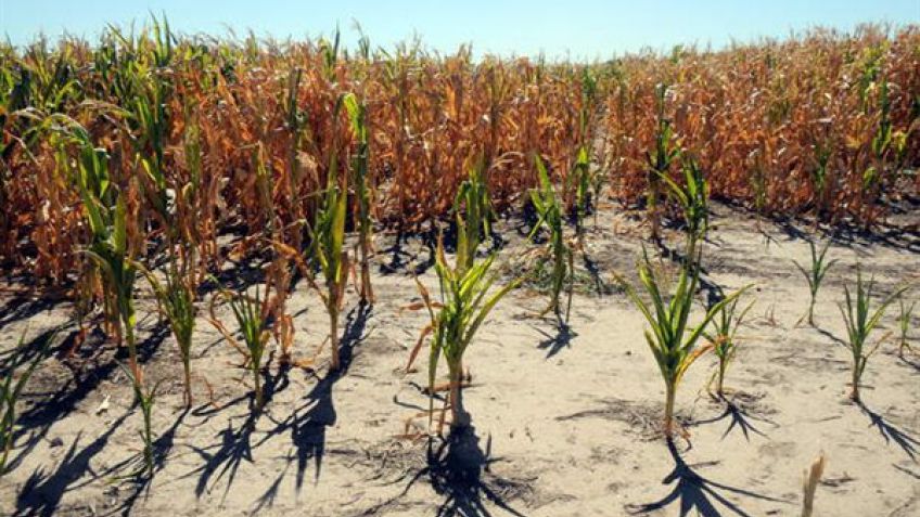 González Fraga se comprometió a evaluar una línea de crédito para pequeños productores