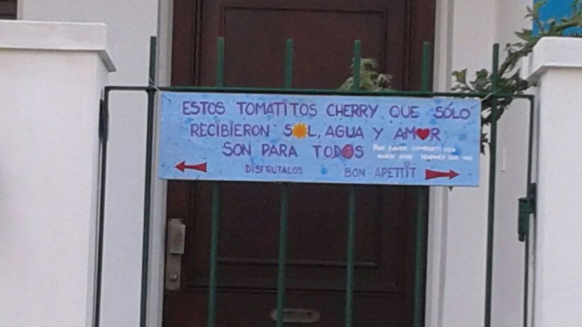 ¿Quién dijo que todo está perdido? Yo vengo a ofrecer mis tomates...