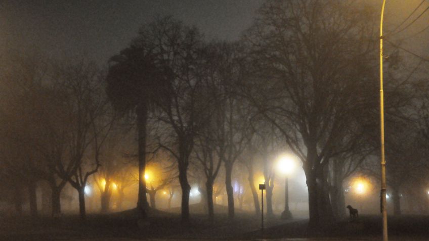 Viernes con neblina
