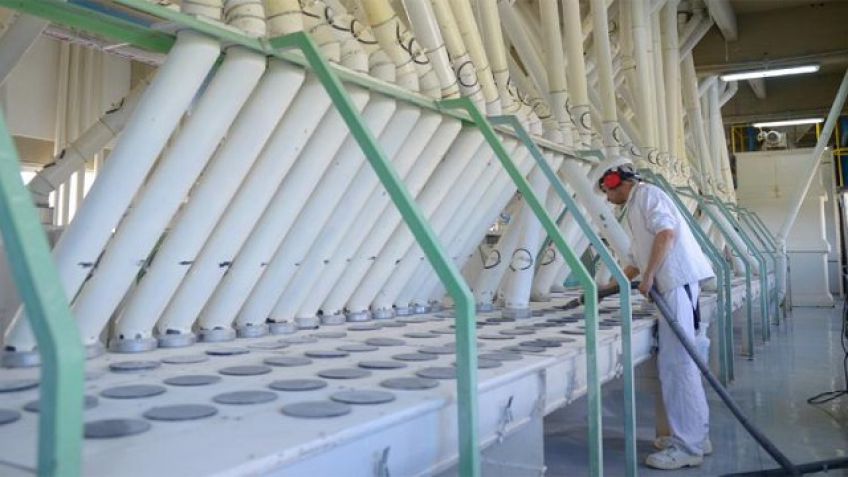 Harineros tendrán 90 días para instalar un control electrónico de molienda