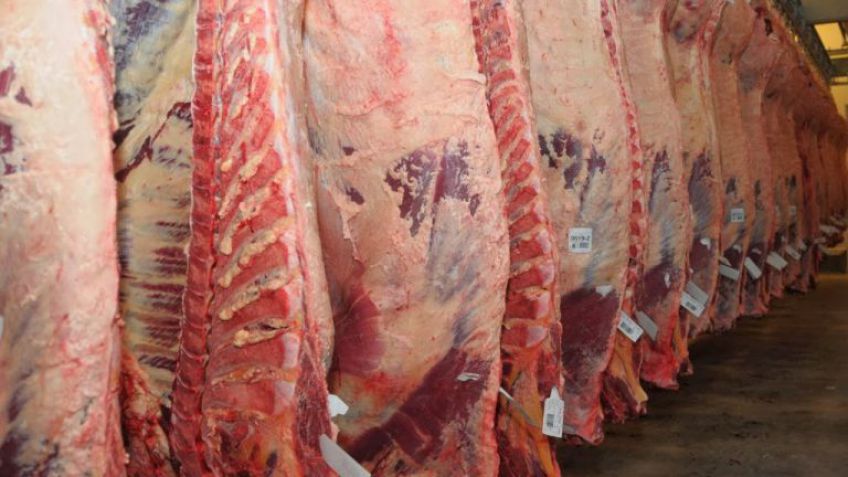 Las exportaciones de carne bovina crecieron 60%