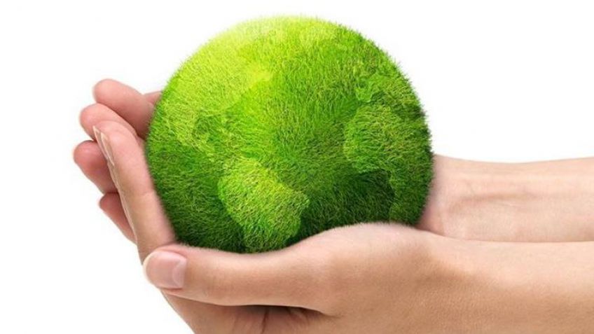 En el día del mundial del ambiente recomiendan acciones para cuidar el planeta