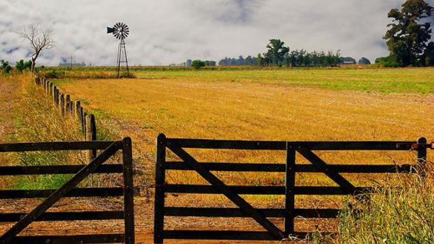 Los costos, el desafío que enfrenta el campo argentino para ser competitivo
