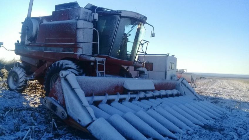 Tandil amaneció de blanco por las heladas
