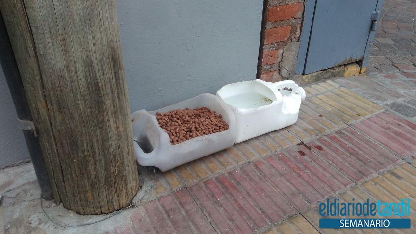 Para los perritos
