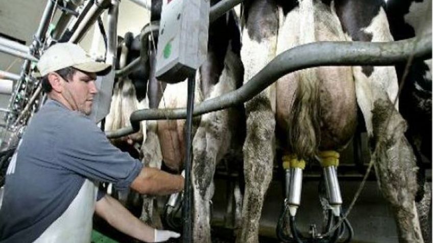 CARBAP alerta sobre tambos bonaerenses en rojo y cerrando
