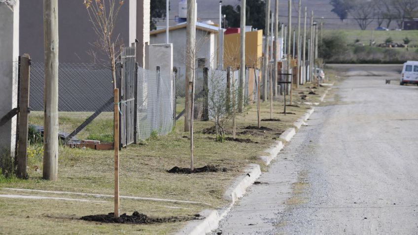 Avanza el Plan de Forestación en distintas zonas de la ciudad