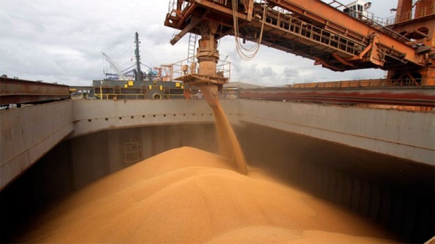 Agroexportadores: "Somos los primeros interesados en que se estabilice el dólar"
