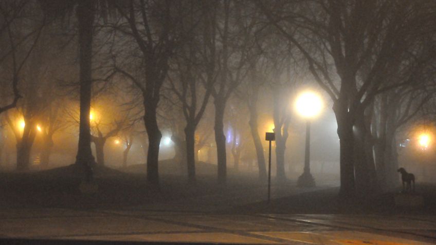 Neblina y vientos leves para el viernes