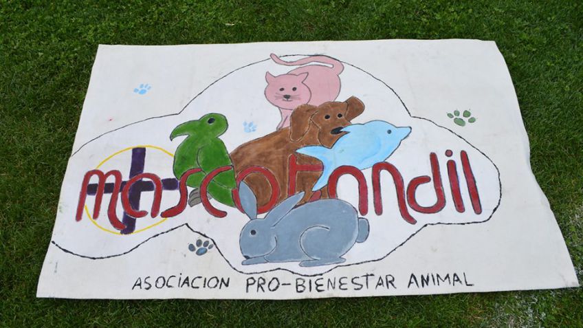 El dinero robado en una vivienda de Pellegrini pertenecía a Mascotandil