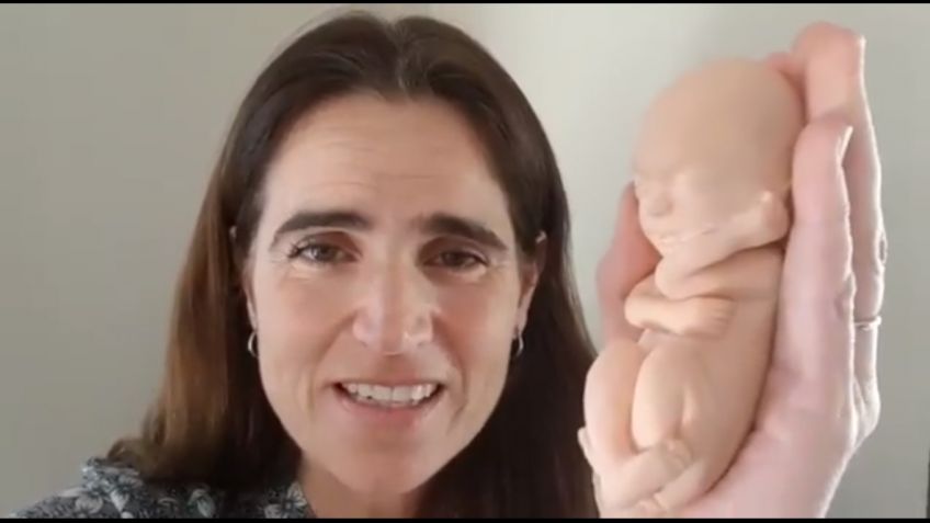"Loca del bebito" vs. "Dr. Aborto"