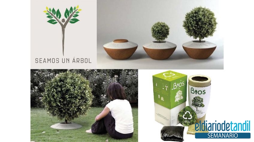 Se despide una vida generando una nueva. Así, vida y muerte se retroalimentan constantemente, tal como funciona en la naturaleza.