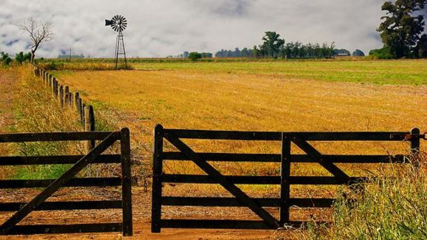 La creciente problemática del Mercado Inmobiliario Rural