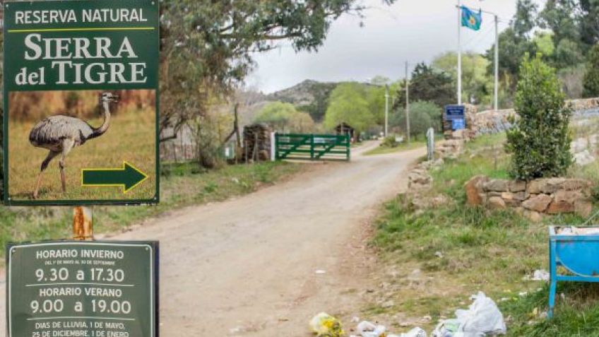 Municipio evalúa alternativas en caso de que no continúe Sierra del Tigre