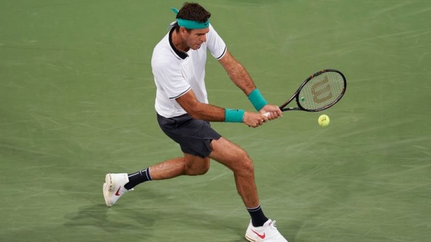 Goffin terminó con el camino de Del Potro