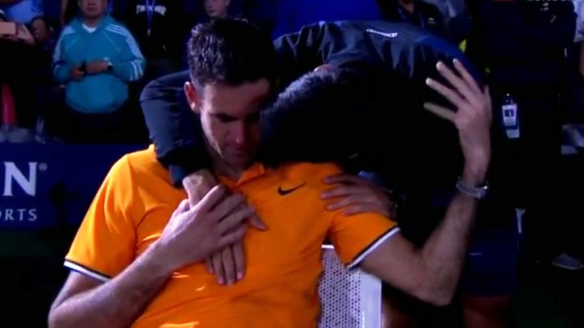 US Open: Del Potro no pudo con Djokovic en la final