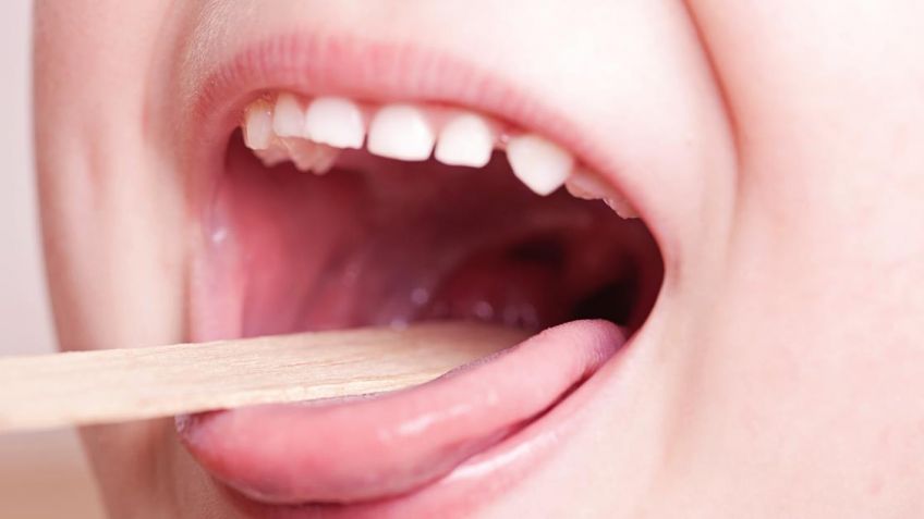 "En Tandil no encontramos bacterias resistentes a la penicilina u otros antibióticos"