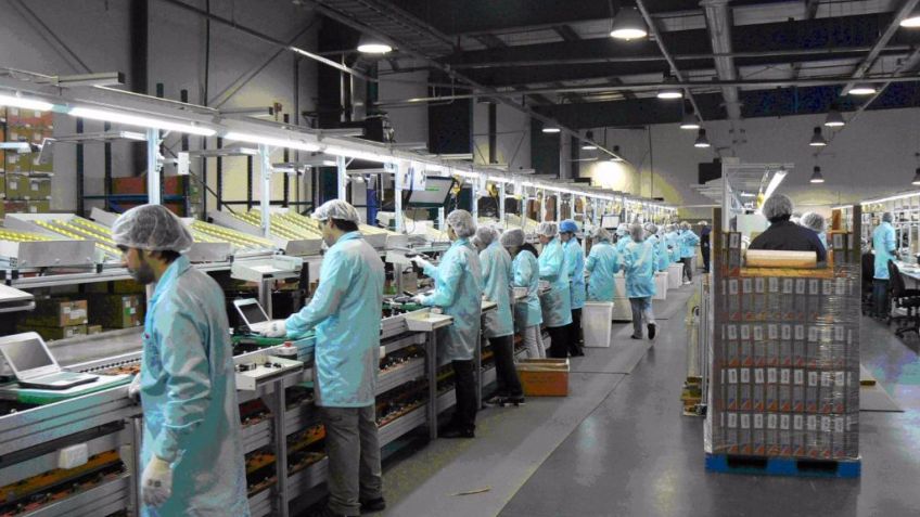 Revelan que en la primera mitad del año se perdieron 106 mil puestos de trabajo