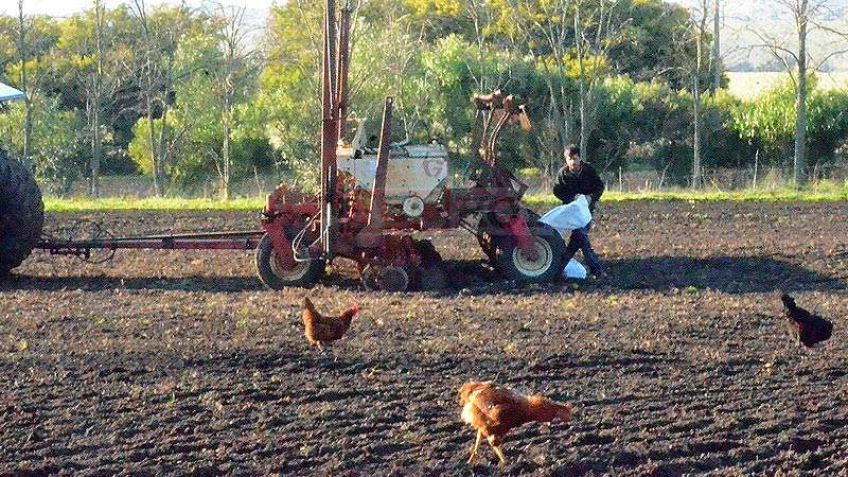 Comenzó el Censo Nacional Agropecuario 2018 en todo el país