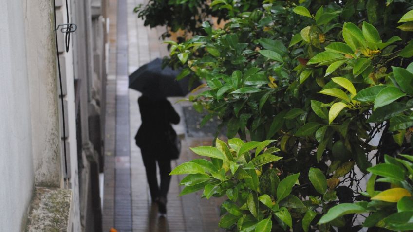 Probables lluvias y tormentas para el jueves