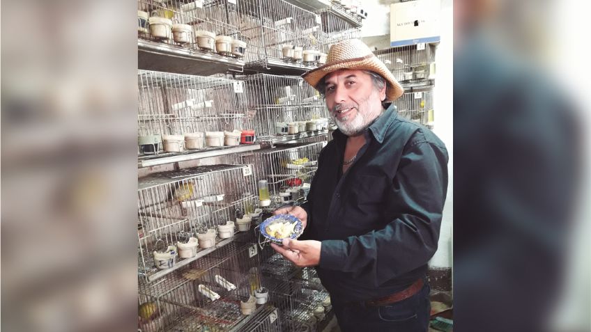 Mario "Talibán" Calá: Canarios