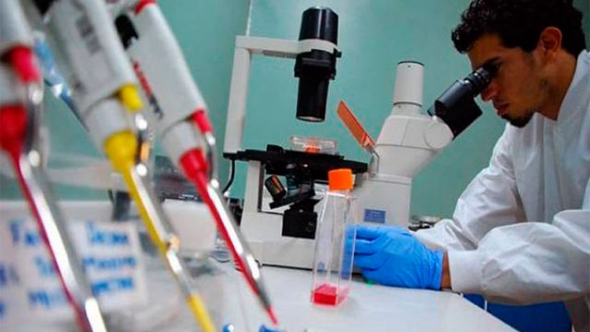 Presupuesto 2019: sus efectos en Ciencia y Tecnología