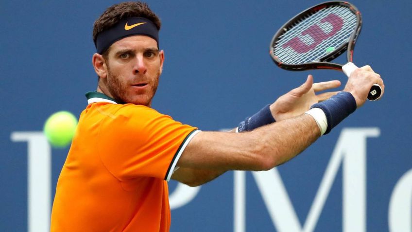 Del Potro terminó la temporada como Nº 5 del mundo