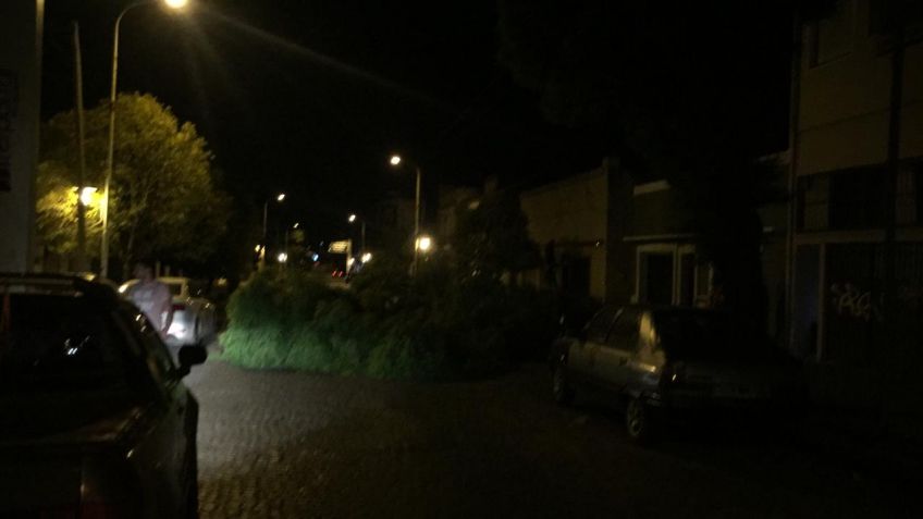 Árbol caído sorprendió a los vecinos de calle Yrigoyen