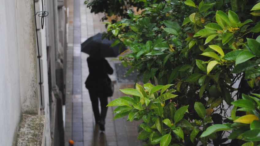 Martes: probabilidad de chaparrones y tormentas