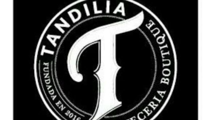 Imágenes de la jornada semifinal del torneo URD