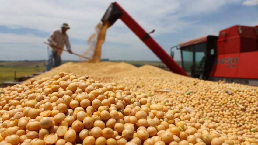 Buscan reactivar la exportación de soja argentina a Rusia