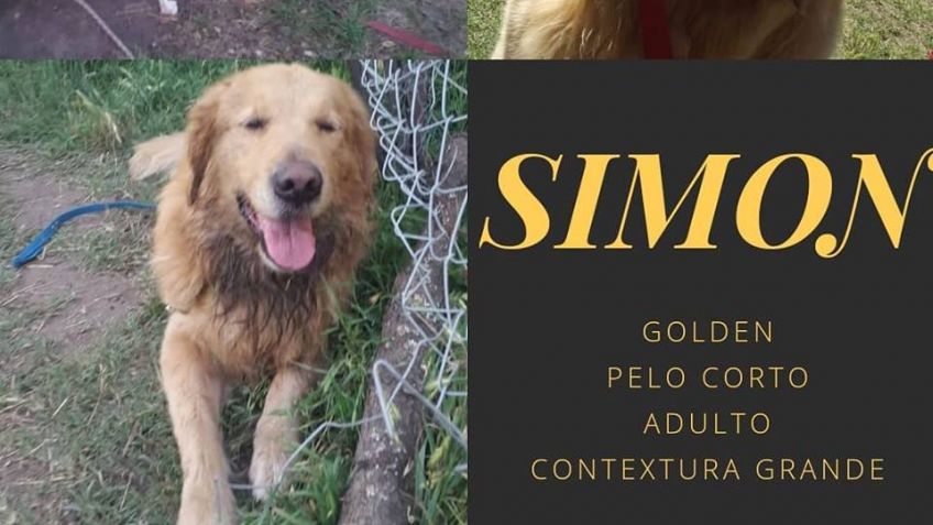 Buscan a Simón