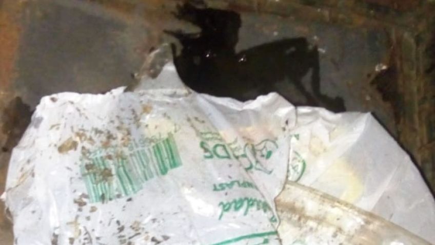 Recolectores encontraron jeringas y vidrios en bolsas