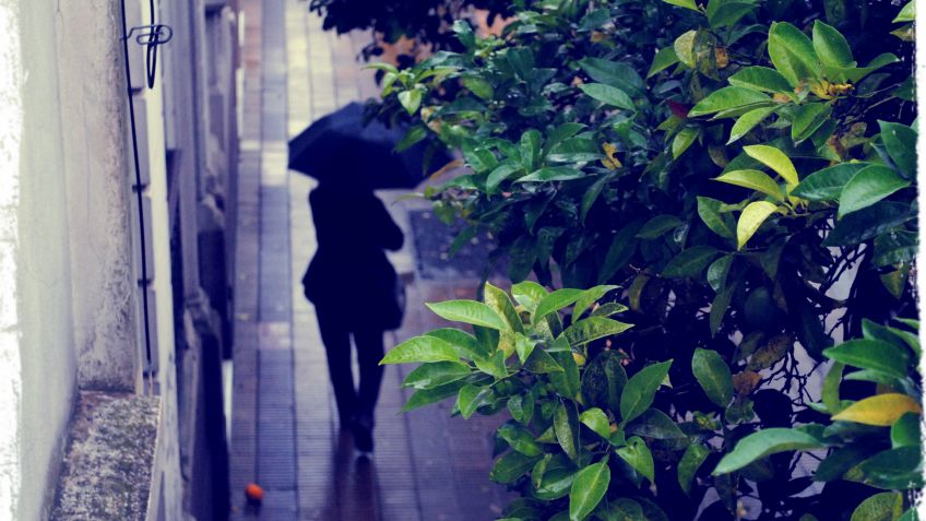 Jueves: probables lluvias por la mañana
