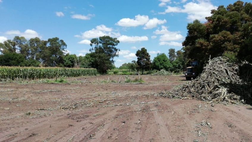 Comenzó la construcción del distribuidor de Las Flores