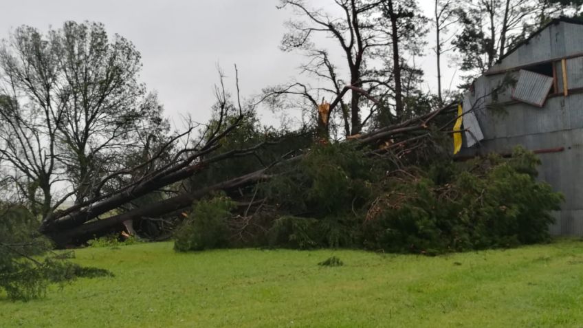 El viento volcó camiones y tiró postes en Azul