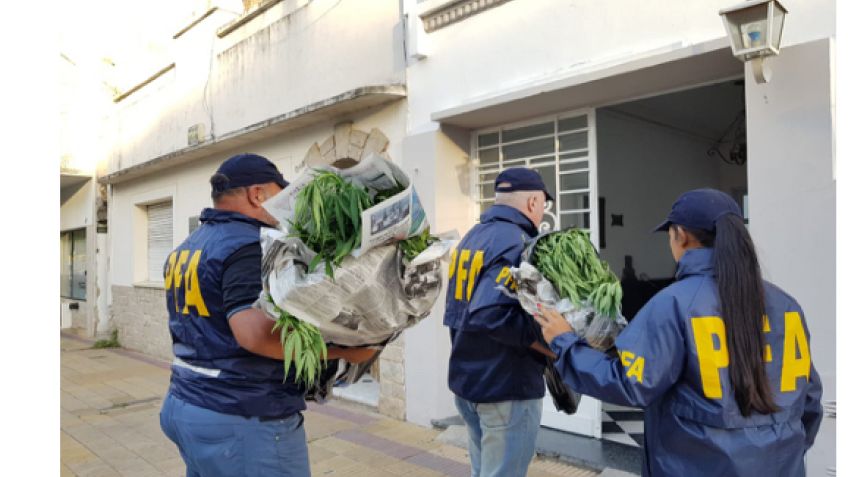 Marea verde: secuestran gran cantidad de marihuana