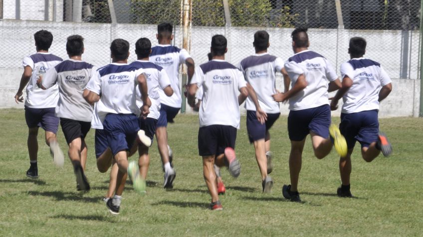 Grupo y su necesidad