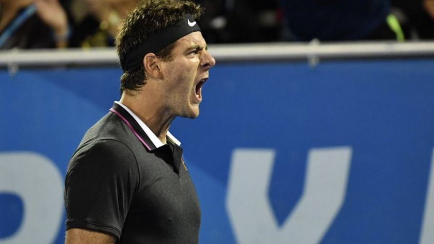 Del Potro ganó y se metió en los cuartos de final