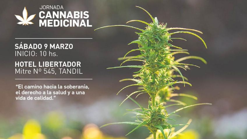 Nueva jornada sobre cannabis medicinal