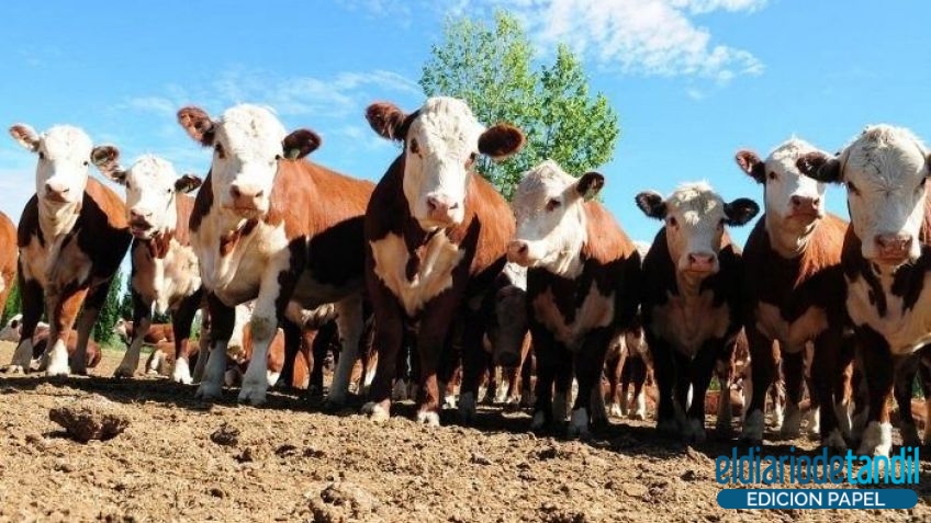 Argentina exportará ganado en pie a Kasajistán