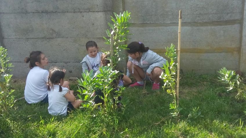 Huerta Solidaria hará una feria de ropa