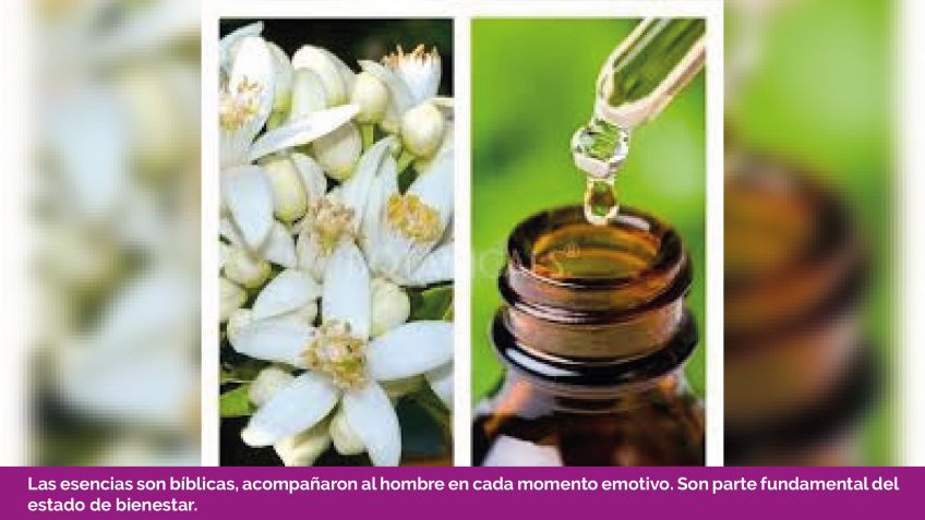 Lado B: Javier Lopez Actis - Arenas Perfumadas