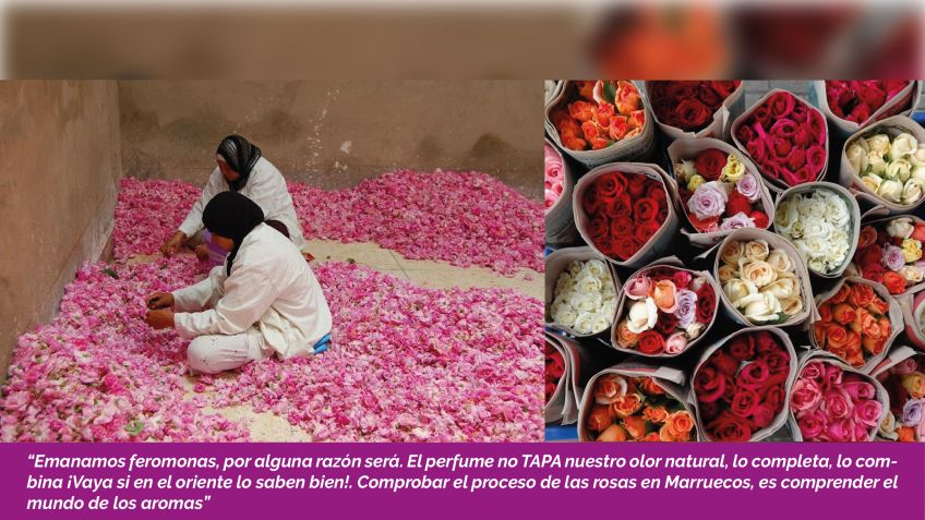 Lado B: Javier Lopez Actis - Arenas Perfumadas